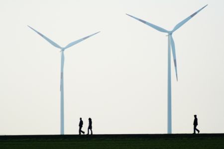 Energia odnawialna - siała wiatru